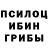 Галлюциногенные грибы GOLDEN TEACHER ronny 1