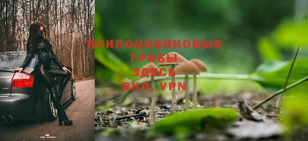 a pvp Алзамай