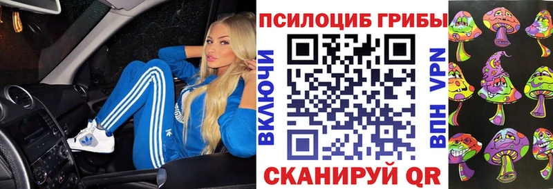 Псилоцибиновые грибы Cubensis  мега tor  Завитинск 